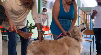 Campanha de vacinação antirrábica terá mais de 280 pontos em Goiânia